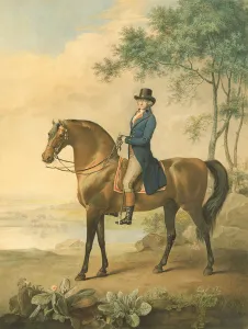 Warren Hastings on his Arabian Horse, 1796 (w/c on paper) Warren Hastings on his Arabian Horse, 1796 (w/c on paper)