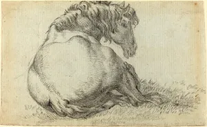 Attributed to Paulus Potter, Dutch (1625-1654), Resting Horse, black chalk on laid paper Attributed to Paulus Potter, Dutch (1625-1654), Resting Horse, black chalk on laid paper
