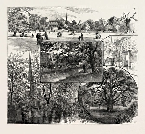 Breathing Spaces for London, Clissold Park, Stoke Newington, Open to the Public on Sundays Breathing Spaces for London, Clissold Park, Stoke Newington, Open to the Public on Sundays