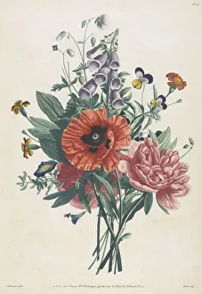 Collection Flowers Fruits Painted Nature Bouquet Collection Flowers Fruits Painted Nature Bouquet