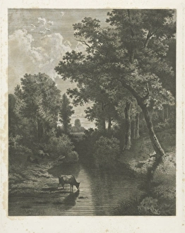 Forest scene with cows in a stream, Jan van Lokhorst, Willem Roelofs (I), 1847 - 1874 Forest scene with cows in a stream, Jan van Lokhorst, Willem Roelofs (I), 1847 - 1874