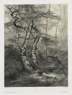 Hare Pursued Goshawk 1858 Karl Bodmer Swiss 1809-1893 Hare Pursued Goshawk 1858 Karl Bodmer Swiss 1809-1893