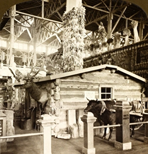 Log cabin occupied by President Roosevelt, when a ranchman in North Dakota, Agricultural Log cabin occupied by President Roosevelt, when a ranchman in North Dakota, Agricultural
