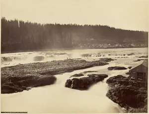 Willamette Falls Oregon City Carleton Watkins Willamette Falls Oregon City Carleton Watkins
