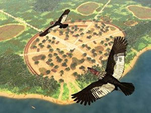 A pair of Andean Condors fly over an Amazonian village A pair of Andean Condors fly over an Amazonian village
