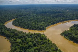 Aerial view of Mouth of the Yavari-Mirin River entering Yavari River and Amazon Rainforest Aerial view of Mouth of the Yavari-Mirin River entering Yavari River and Amazon Rainforest