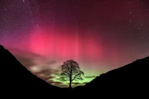 Aurora Borealis over Sycamore Gap, Hadrians Wall, Northumberland, England Aurora Borealis over Sycamore Gap, Hadrians Wall, Northumberland, England