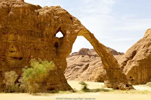 Elephant arch - eroded sandstone rock formation in the Ennedi Natural And Cultural Elephant arch - eroded sandstone rock formation in the Ennedi Natural And Cultural