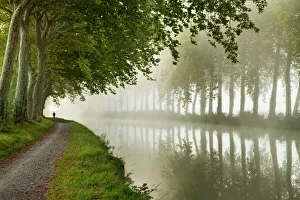 A jogger on the towpath of the Canal du Midi near Castelnaudary, Languedoc-Rousillon A jogger on the towpath of the Canal du Midi near Castelnaudary, Languedoc-Rousillon
