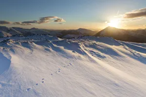Mountain hare footprints in snow on mountain top in Glen Coe, Lochaber, Scotland, UK Mountain hare footprints in snow on mountain top in Glen Coe, Lochaber, Scotland, UK