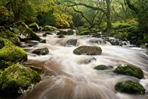 River Plym flowing fast through Dewerstone Wood, Shaugh Prior, Dartmoor National Park River Plym flowing fast through Dewerstone Wood, Shaugh Prior, Dartmoor National Park