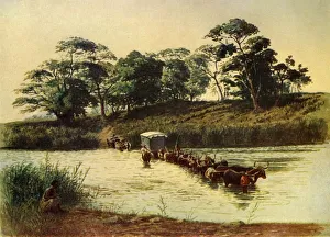 'Bullock Waggon Crossing a Drift on the Umbelois River-Swaziland', 1902. Creator: Donald McCracken 'Bullock Waggon Crossing a Drift on the Umbelois River-Swaziland', 1902. Creator: Donald McCracken