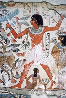 Fowling in the marshes: wall painting from the tomb of Nebamun, Thebes, Egypt, c1350 BC Fowling in the marshes: wall painting from the tomb of Nebamun, Thebes, Egypt, c1350 BC