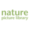 https://www.naturepl.com/blog/ Nature Picture Library